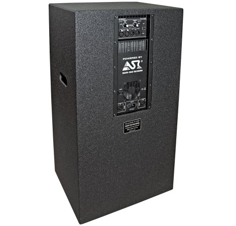 TS-415SB P3 DSP Активный сабвуфер с DSP процессором