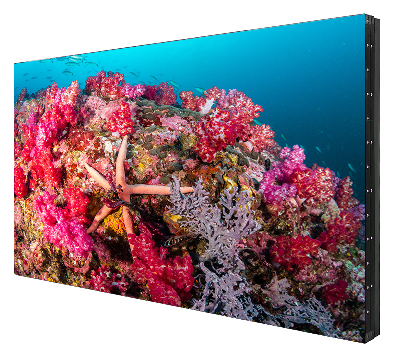 Профессиональный дисплей Eliteboard BB558FCBED