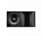 Пассивный линейный массив Bose ArenaMatch AM8020, Черный