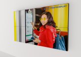 Панель для видеостены Panasonic TH-55VF1HW