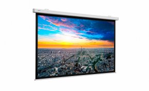 10102477 - Экран Projecta Compact Electrol 179х280 см (125