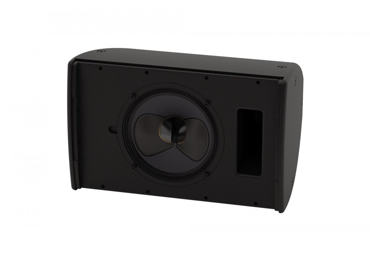 Коаксиальная пассивная акустическая система Martin Audio CDD10-WR