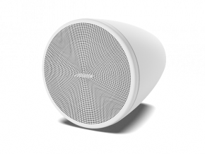 Пассивная акустическая система Bose DesignMax DM3P, Белый