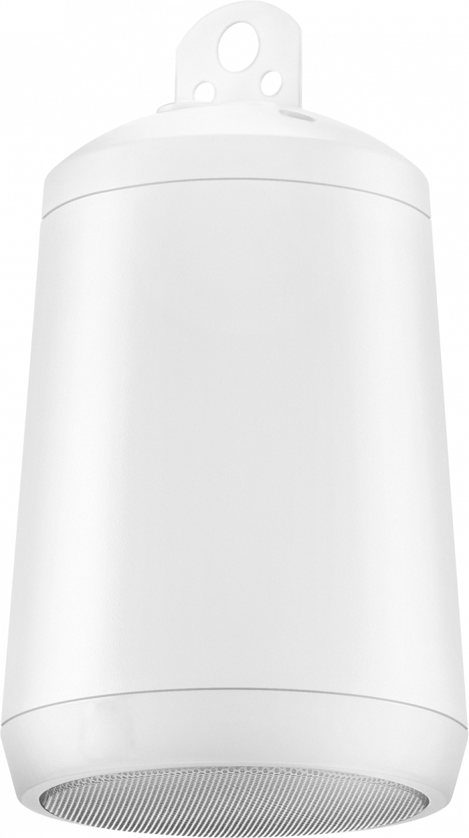 Подвесная акустическая система ElectroVoice EVID-P2.1