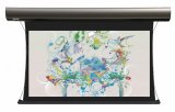 LCTC-100143 - Экран с электроприводом Lumien Cinema Tensioned Control