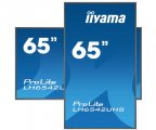 Информационный дисплей Iiyama LH6542UHS-B1