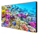 Профессиональный дисплей Eliteboard SK555FCLN