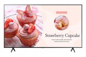 Коммерческий телевизор Samsung BE55T-H