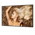 Информационный дисплей BenQ SL5502K