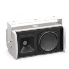 Пассивная акустическая система Bose ArenaMatch Utility AMU105, Белый